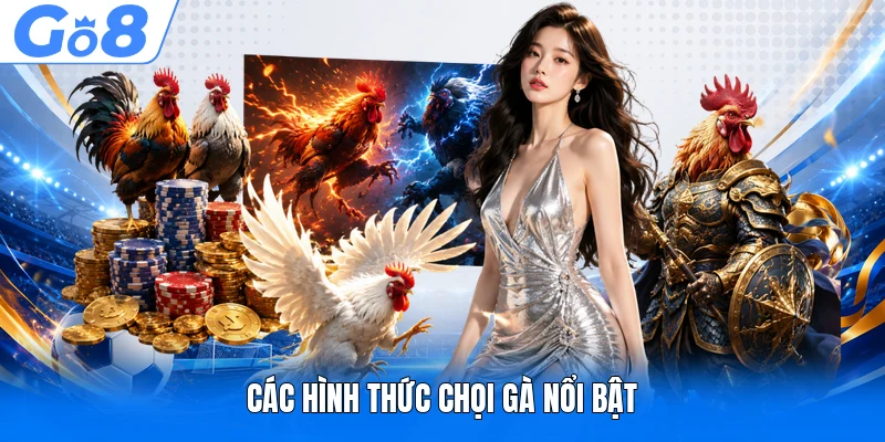 Các hình thức chọi gà nổi bật
