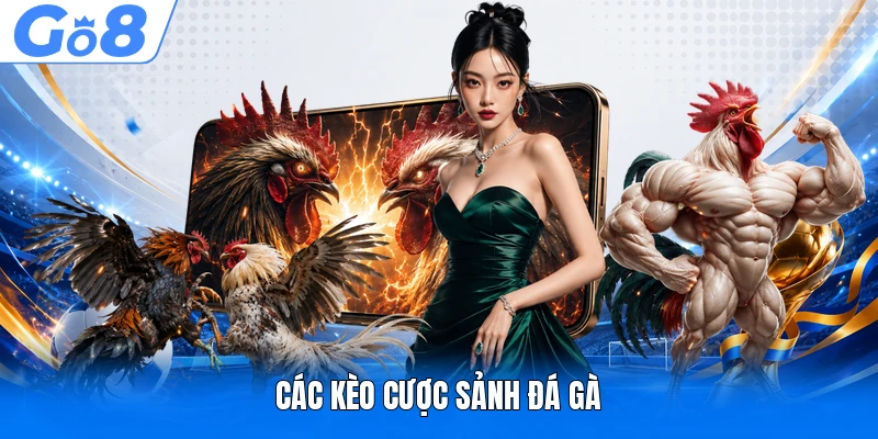 Các kèo cược sảnh đá gà