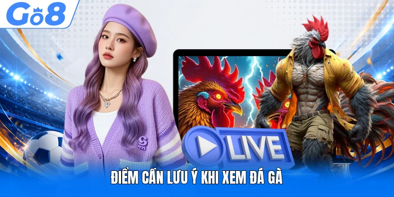 Điểm cần lưu ý khi xem đá gà