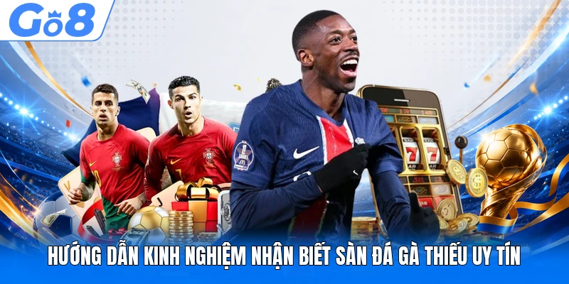 Hướng dẫn kinh nghiệm nhận biết sàn đá gà thiếu uy tín