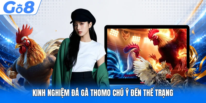 Kinh nghiệm đá gà Thomo chú ý đến thể trạng
