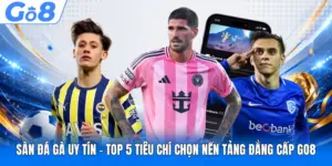 Sàn Đá Gà Uy Tín