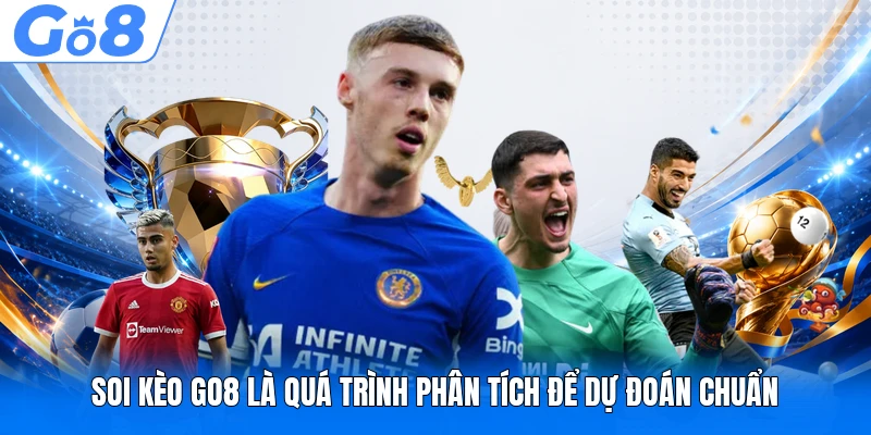 Soi kèo GO8 là quá trình phân tích để dự đoán chuẩn