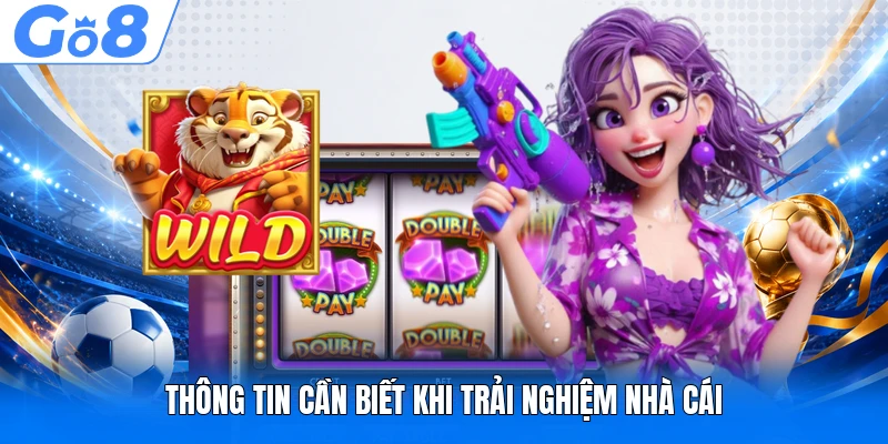 Thông tin cần biết khi trải nghiệm nhà cái